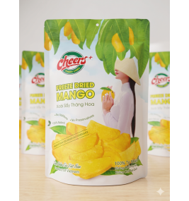 Xoài Sấy Thăng Hoa, giữ trọn hương vị xoài, phù hợp quà tặng, snack cao cấp - Túi 100g - Viza Food