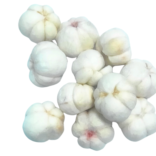 Măng Cụt Sấy Thăng Hoa túi 100g, bao ngon, giữ hương vị như tươi Good Good của - Viza Food