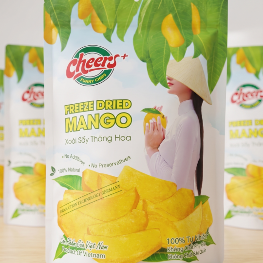 Xoài Sấy Thăng Hoa, giữ trọn hương vị xoài, phù hợp quà tặng, snack cao cấp - Túi 100g - Viza Food